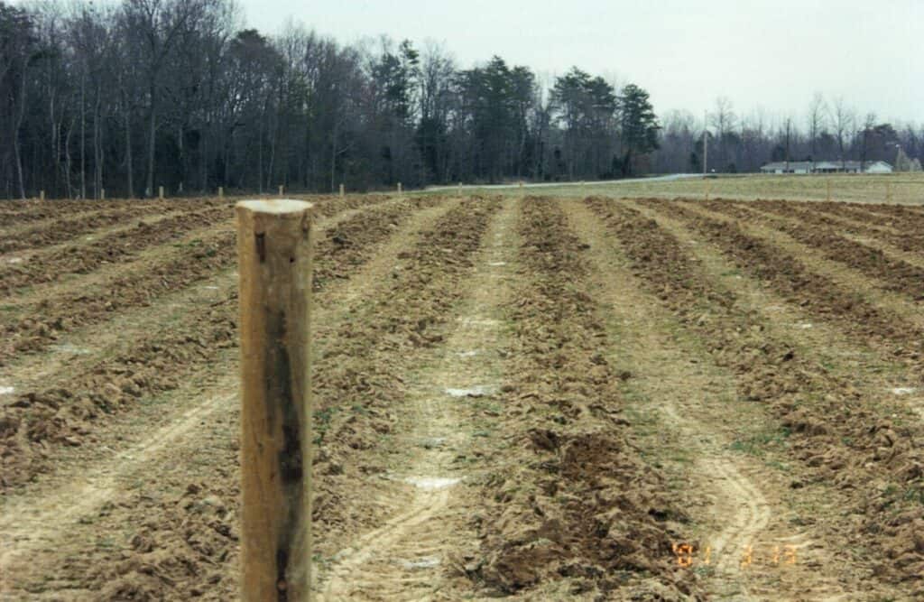 Plowed agricultural field with fence posts