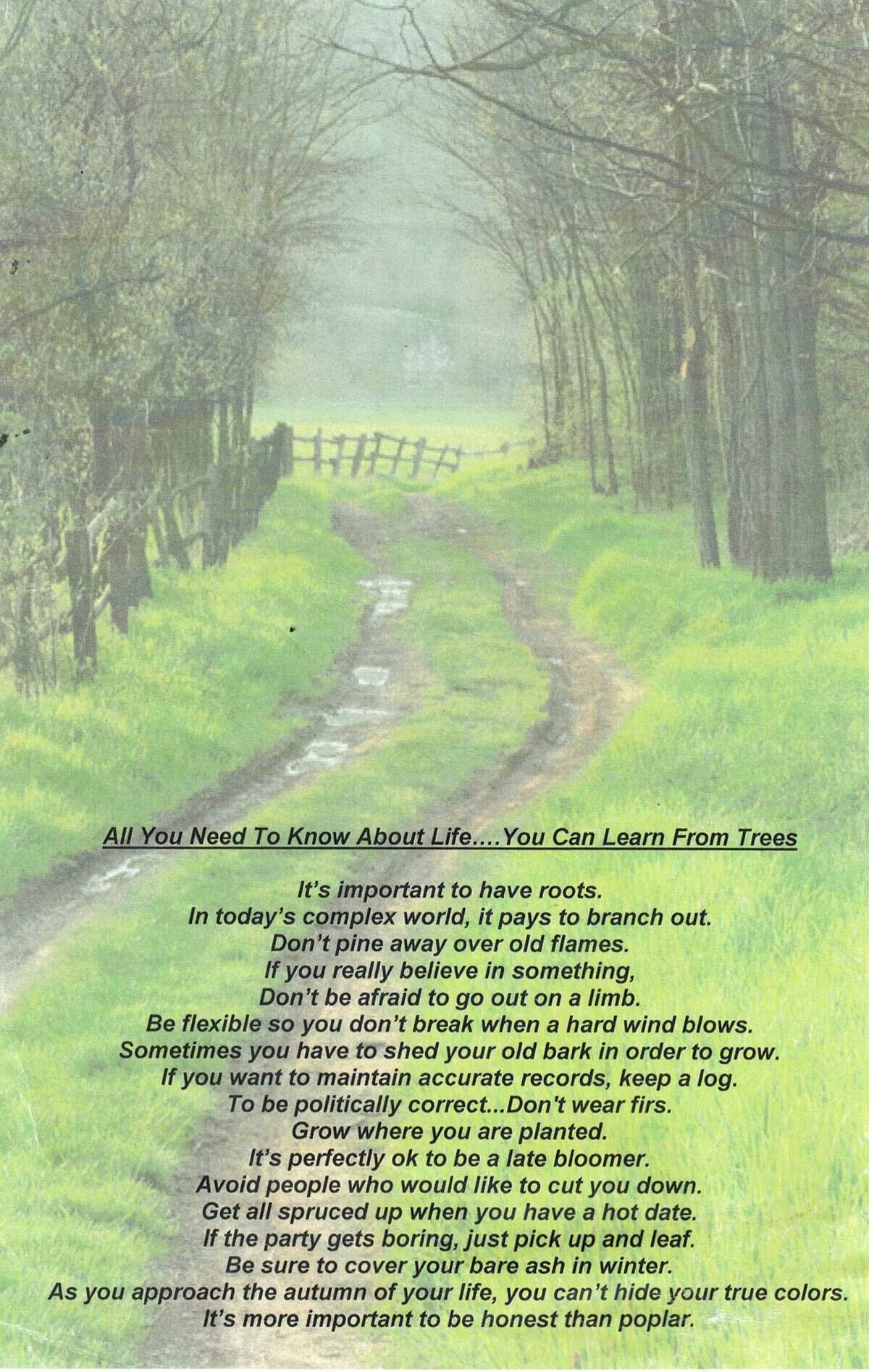 Misty wooded path with life lessons from trees text.