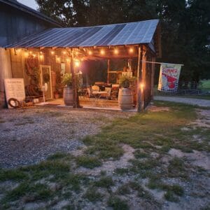 Cozy winery patio with string lights at dusk.
